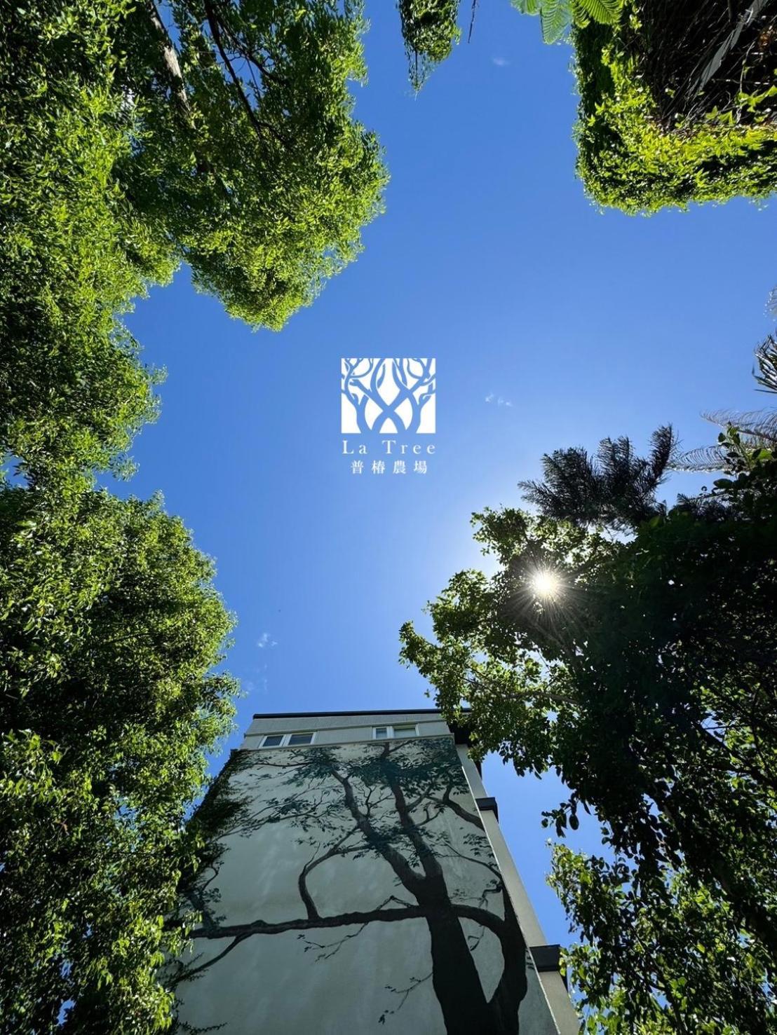 东河La Tree 普椿農場木子莊園公寓 外观 照片